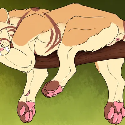 molly timbertail created by killthe demon