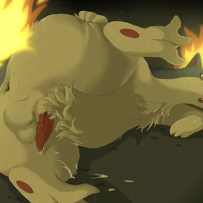 nintendo, pokemon created by qrnrr