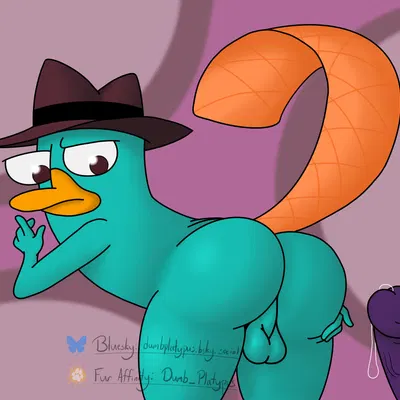 perry the platypus (disney, phineas and ferb) created by dumbfeline