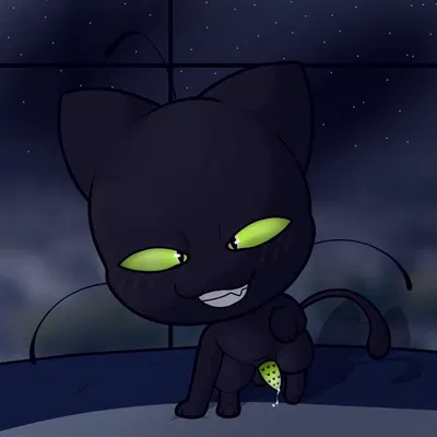plagg (miraculous ladybug) (miraculous ladybug) created by ishitaka uwu
