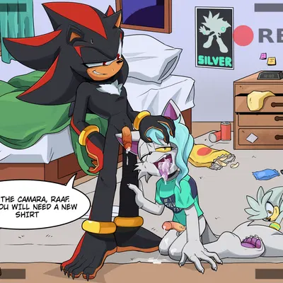 raaf helder (character), shadow the hedgehog, silver the hedgehog (sega, sonic the hedgehog (series)) created by krsofia.arts