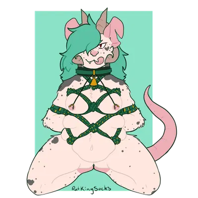 ratkingsocks created by darlingsocks