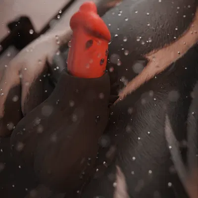 riddy created by riddyvrc