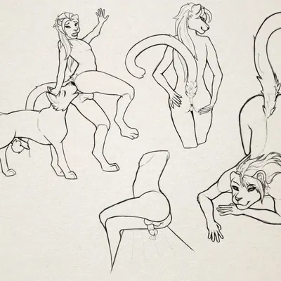 sarieu (intercato) created by noitecato