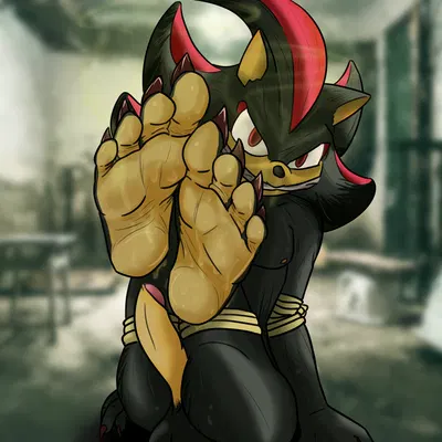 shadow the hedgehog (sega, sonic the hedgehog (series)) created by de volt