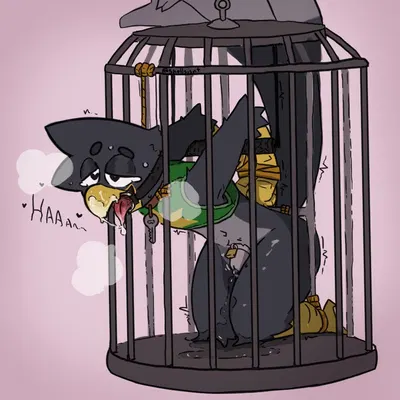 shells (shellsist) created by shellsist