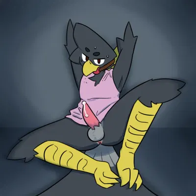 shells (shellsist) created by shellsist