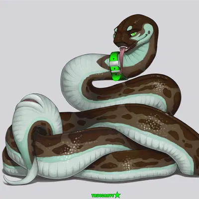 sheppermint created by truegrave9