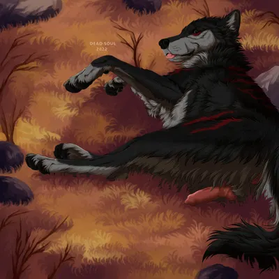 sitka created by msdeadsoul