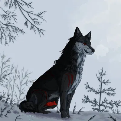 sitka created by msdeadsoul