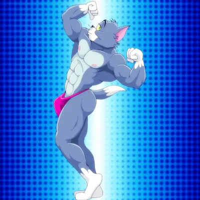 thomas cat (metro-goldwyn-mayer, tom and jerry) created by fabfelipe