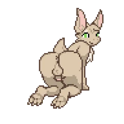 turo of akesh created by bitassembly