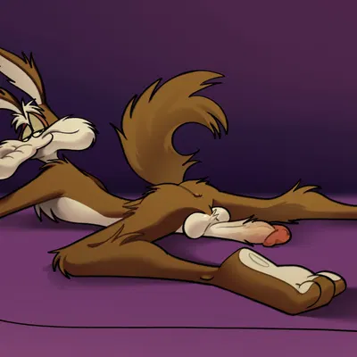 wile e. coyote (looney tunes, warner brothers) created by hairlessboyblunder
