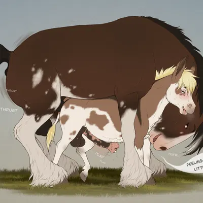 xavier (fenn.perrox) created by fenn.perrox