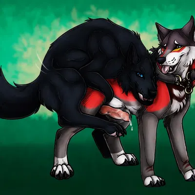 yipsky created by killthe demon