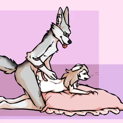 amber (nyxcha), yote silverblood created by andreathecat