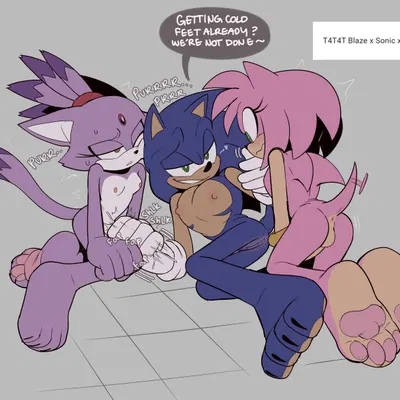 amy rose, blaze the cat, sonic the hedgehog (sega, sonic the hedgehog (series)) created by somedivs