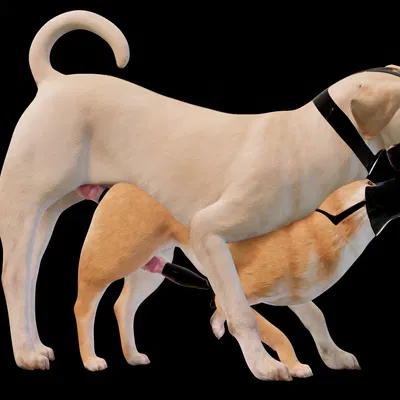 anonymous character created by anonyartist3d