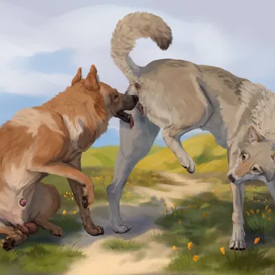 aska (fokker) created by fokker (artist)