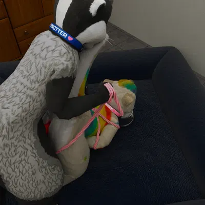 badger (otter), lucky (otter), lucky otter created by galax vr