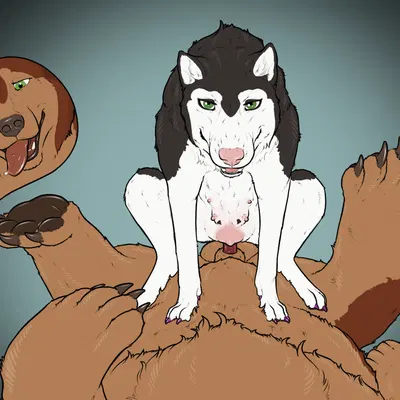 beardog rex, shelby (sketchy shelby) created by sketchy shelby