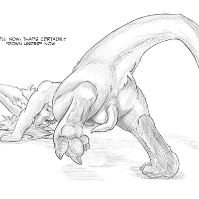 beartp created by flinters