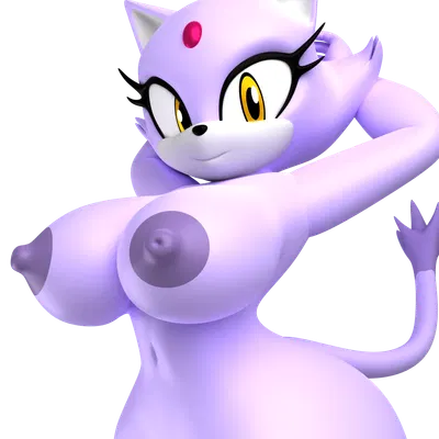 blaze the cat (sega, sonic the hedgehog (series)) created by argos90