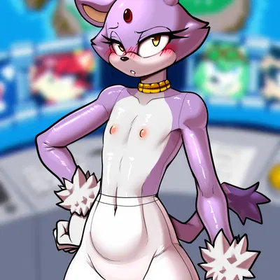 blaze the cat (sega, sonic the hedgehog (series)) created by justtaylor