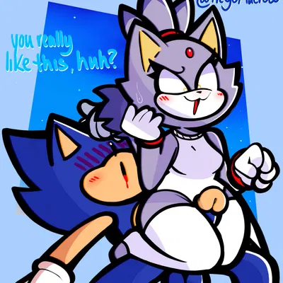 blaze the cat, sonic the hedgehog (sega, sonic the hedgehog (series)) created by heyomaerow
