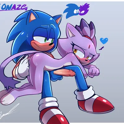 blaze the cat, sonic the hedgehog (sega, sonic the hedgehog (series)) created by miguel layme