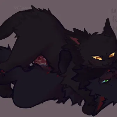 breezepelt (warriors), hollyleaf (warriors) (warriors (book series)) created by gullswoop