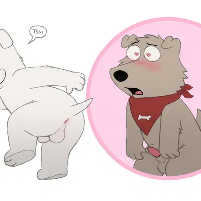 brian griffin, new brian (family guy) created by letodoesart