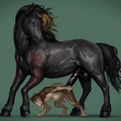 bucephalus, kinoborikun created by deusexmoose