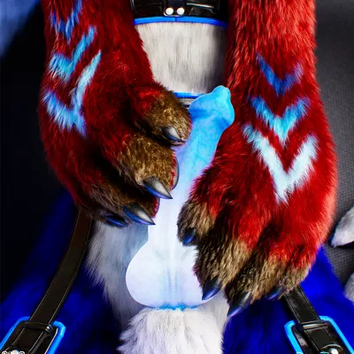 c4d created by daytia