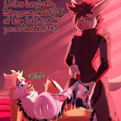 cachuchas the fennec (cachuchas), jack the aardvark (cachuchas) created by cachuchas