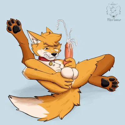 chris (raposanaranja) created by felix vincent