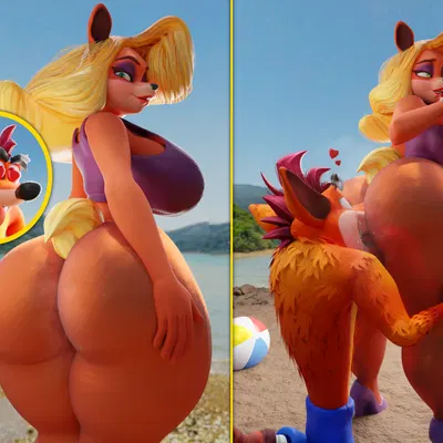 crash bandicoot, tawna bandicoot (activision, crash bandicoot (series)) created by hypnopotamus