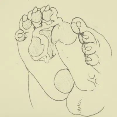 created by dvlsh (artist)