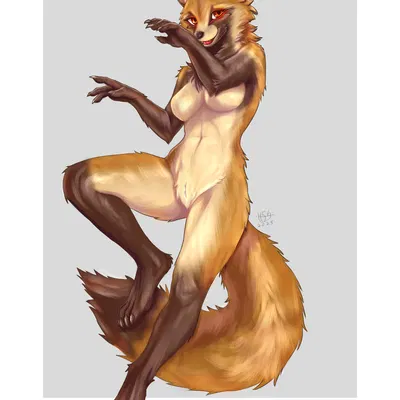 created by h56 (hikkoro)