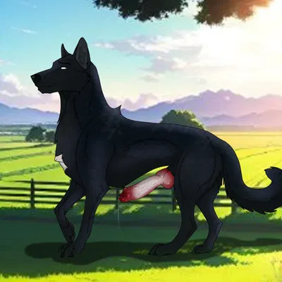 created by holidaypup