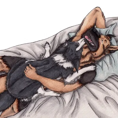 created by kola (artist)