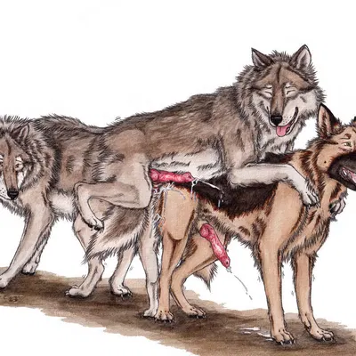 created by kola (artist)