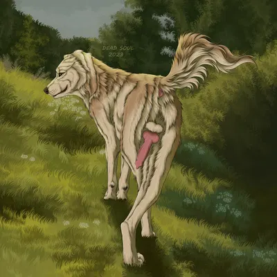 created by msdeadsoul