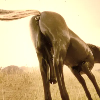 created by obsceneeighteensfm