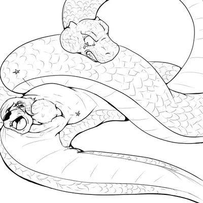 created by pandottermon