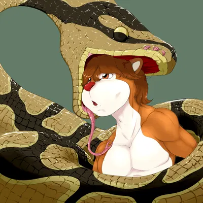 created by pandottermon