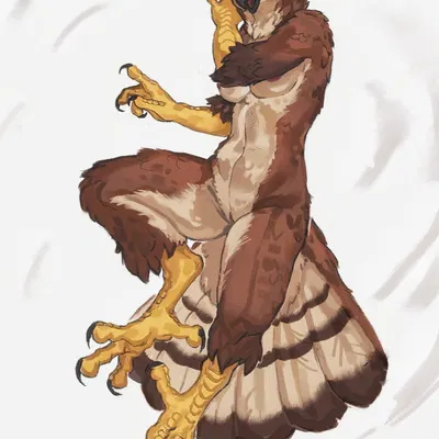 created by pascelfalcon