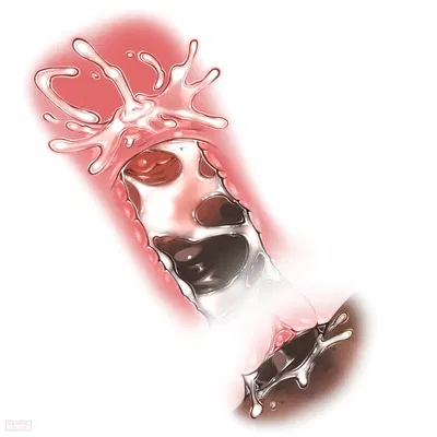 created by seraphictiger