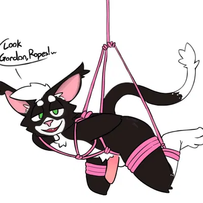 created by shellsist