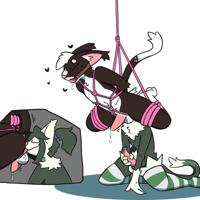 created by shellsist